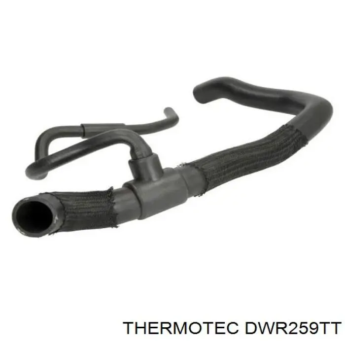  DWR259TT Thermotec