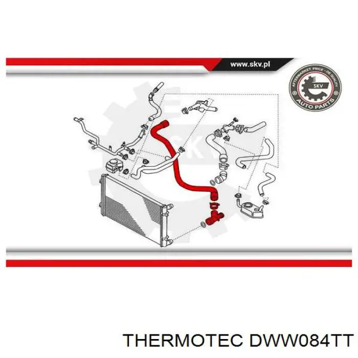 Шланг радиатора, нижний Thermotec DWW084TT цена, от 22.01 USD
