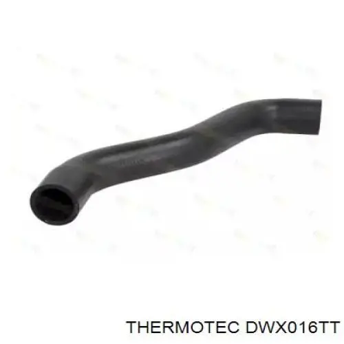DWX016TT Thermotec mangueira (cano derivado inferior do radiador de esfriamento)