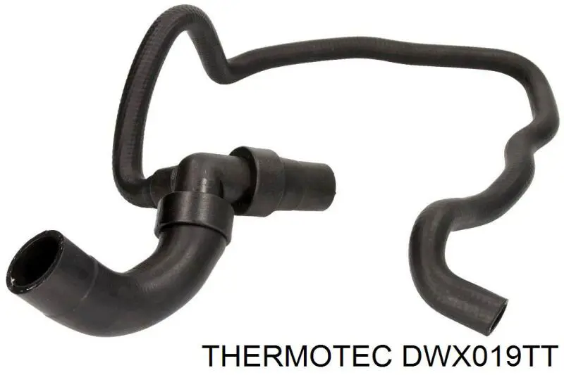 DWX019TT Thermotec mangueira (cano derivado inferior do radiador de esfriamento)