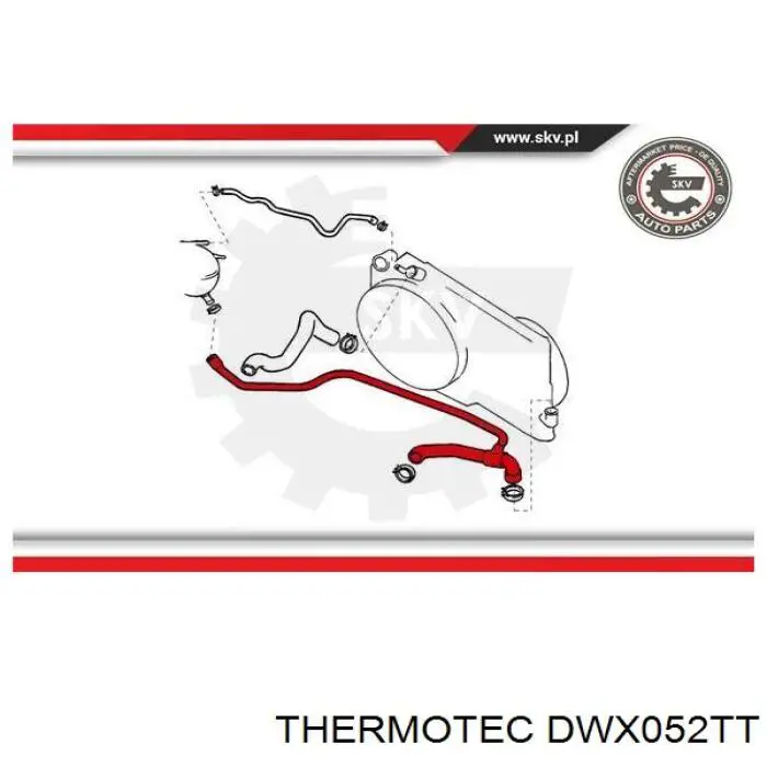 Купить DWX052TT Thermotec Шланг радиатора охлаждения нижний