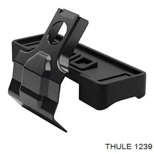  1239 Thule