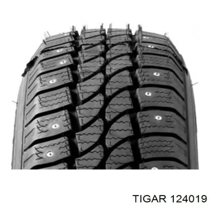 Шины зимние Tigar Cargo Speed Winter 215/70 R15 109/107 R (124019)