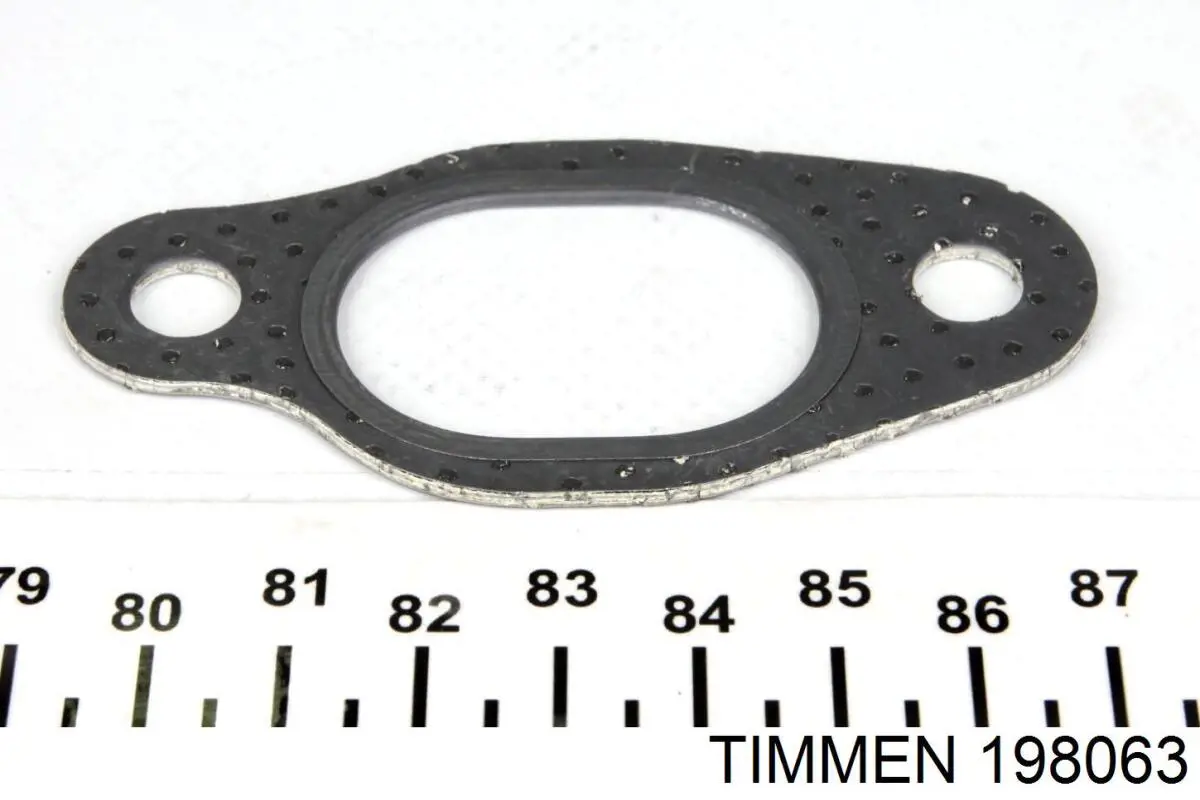 198063 Timmen прокладка коллектора