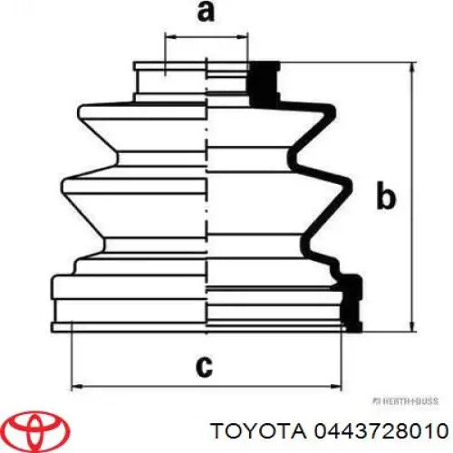 443728010 Toyota
