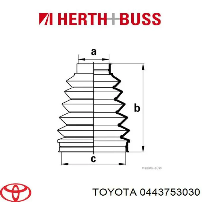 443753030 Toyota 