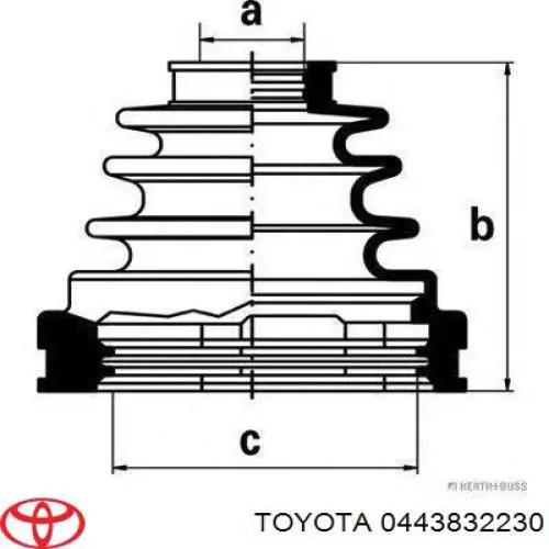 Fuelle, árbol de transmisión delantero interior 0443832230 Toyota