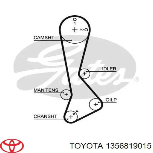 Ремень ГРМ 1356819015 Toyota