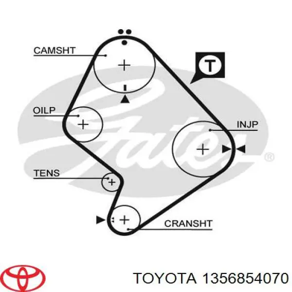 Correa distribucion 1356854070 Toyota