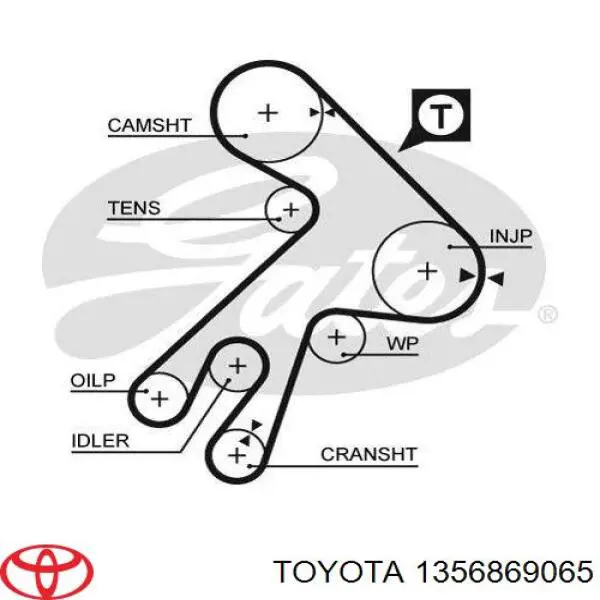 Correa distribucion 1356869065 Toyota