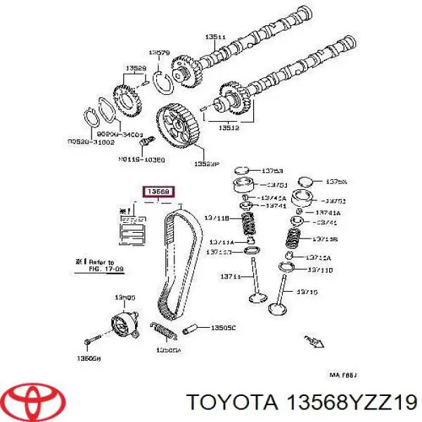 Correa distribucion 13568YZZ19 Toyota