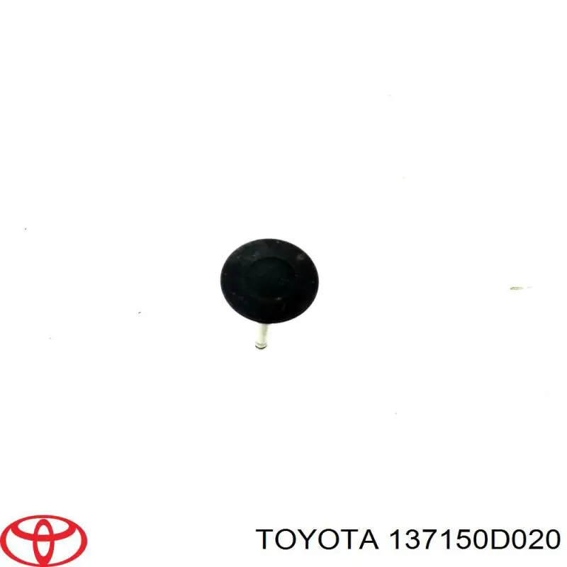 137150D020 Toyota