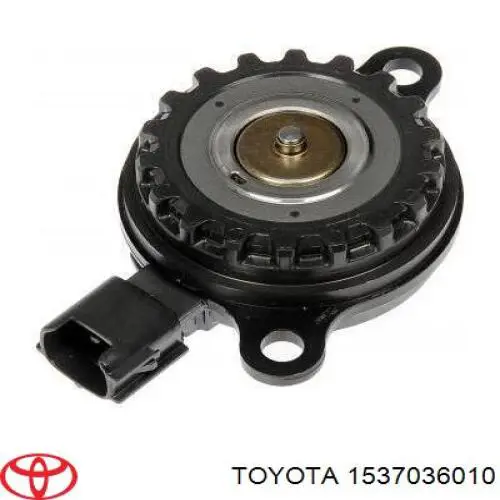  1537036010 Toyota