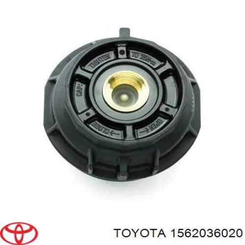 1562036020 Toyota/Lexus