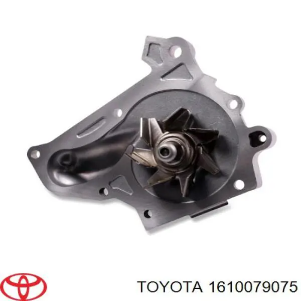 Водяной насос Toyota 1610079075
