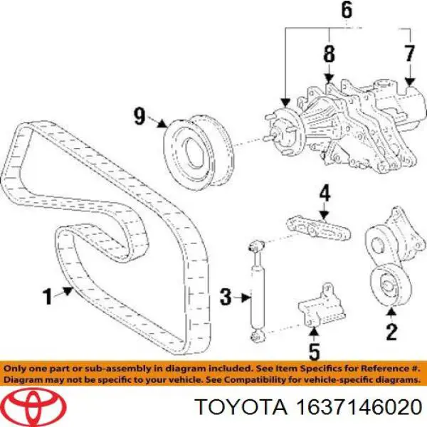  1637146020 Toyota