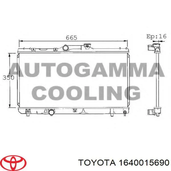 Купить 1640015690 Toyota Радиатор водяной