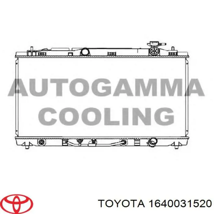 Купить 1640031520 Toyota Радиатор водяной