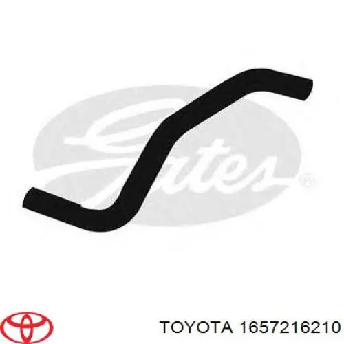 1657216210 Toyota шланг (патрубок радиатора охлаждения нижний)