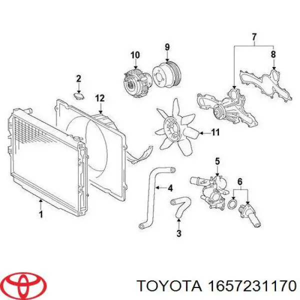  Нижний шлаг радиатора охлаждения Toyota Land Cruiser 