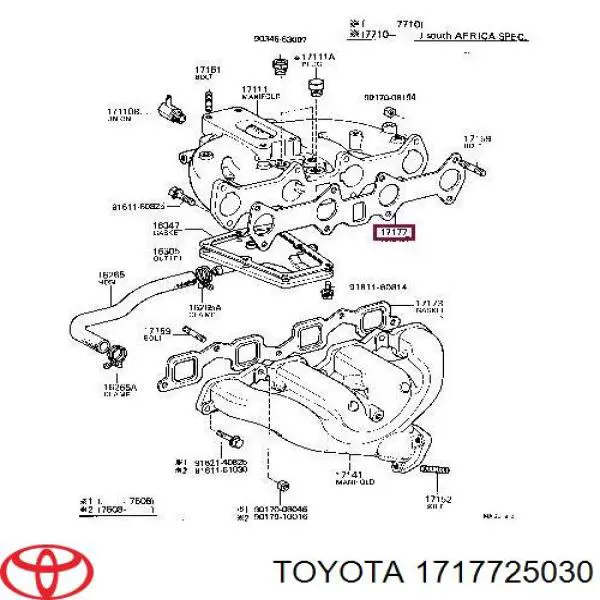 Прокладка впускного коллектора 1717725030 Toyota