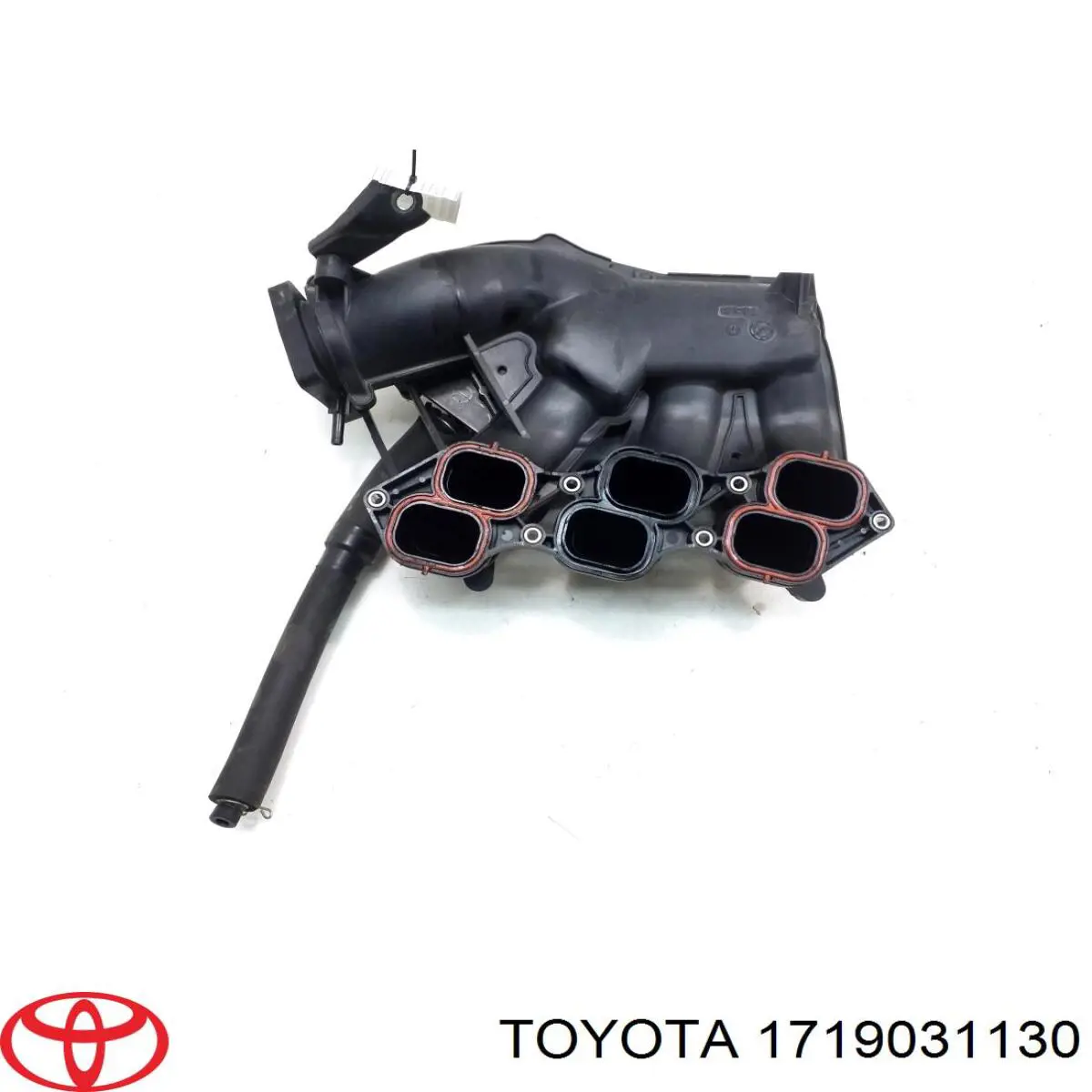 Купить 1719031130 Toyota Впускной коллектор
