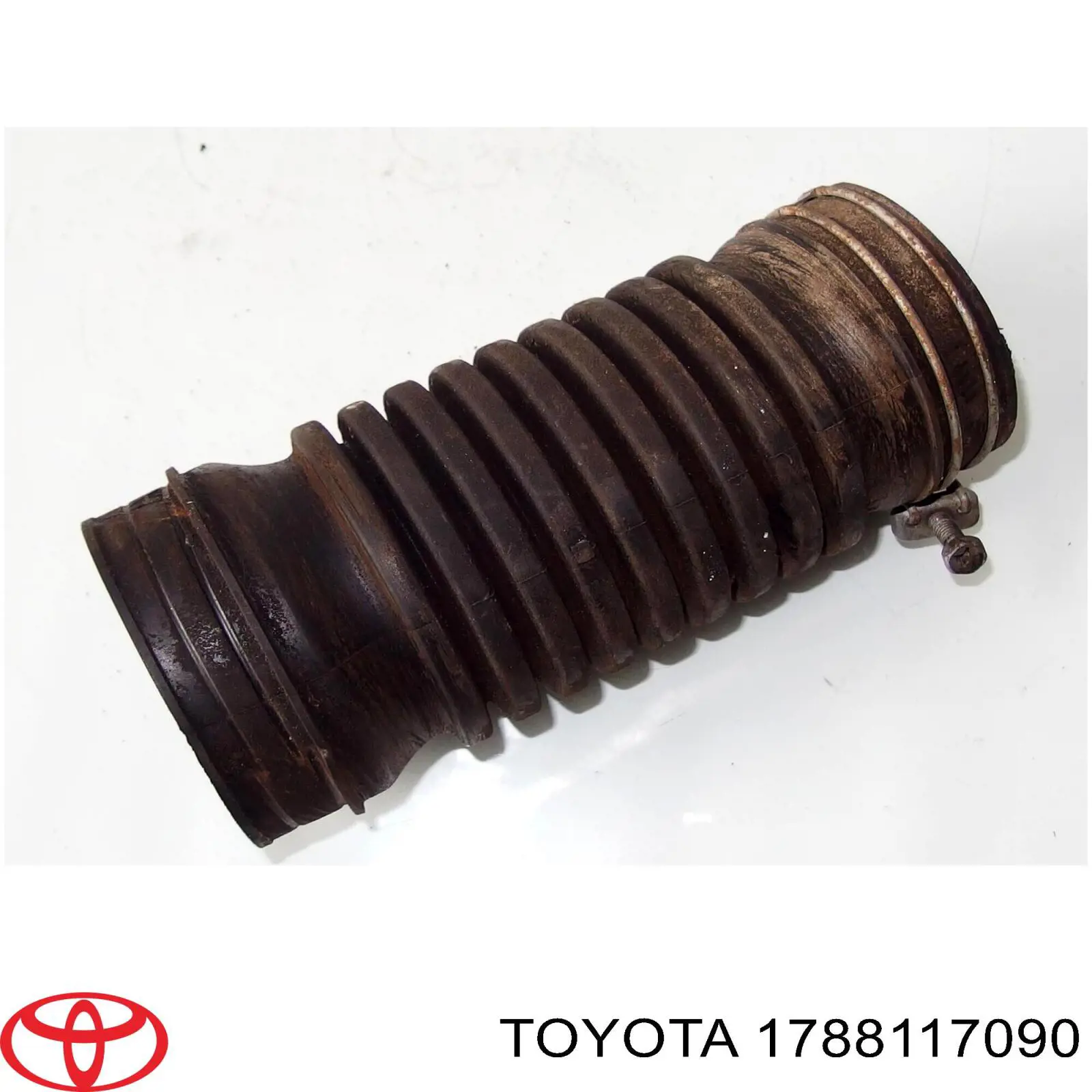 1788117090 Toyota 