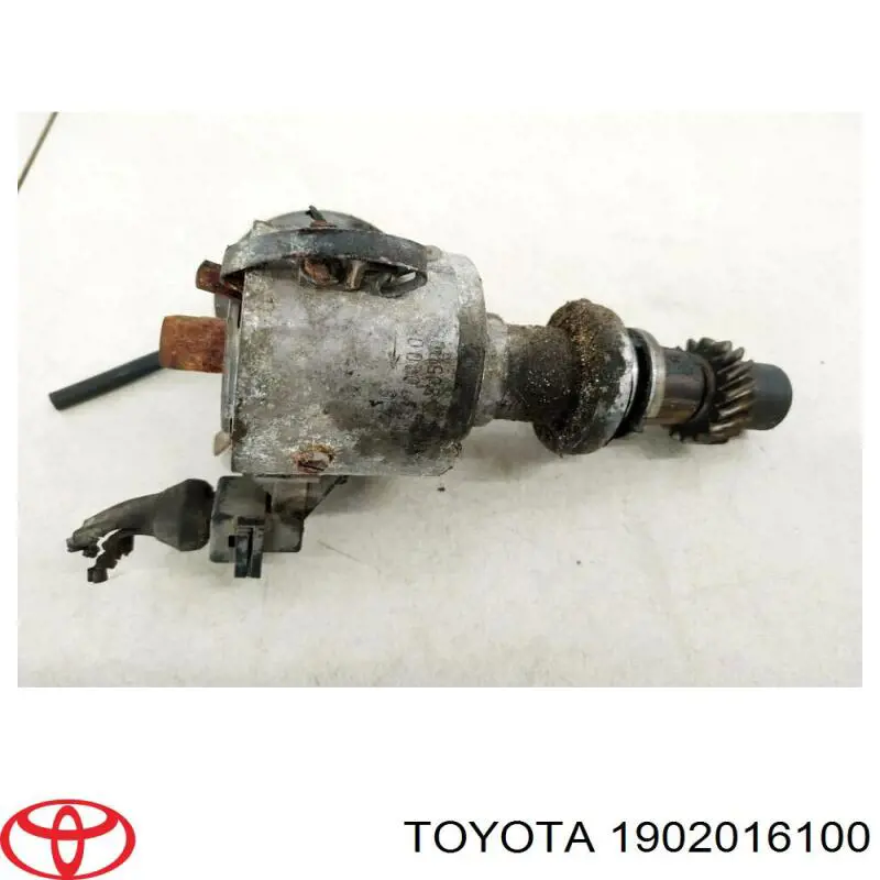 1902016100 Toyota Распределитель зажигания (трамблер)