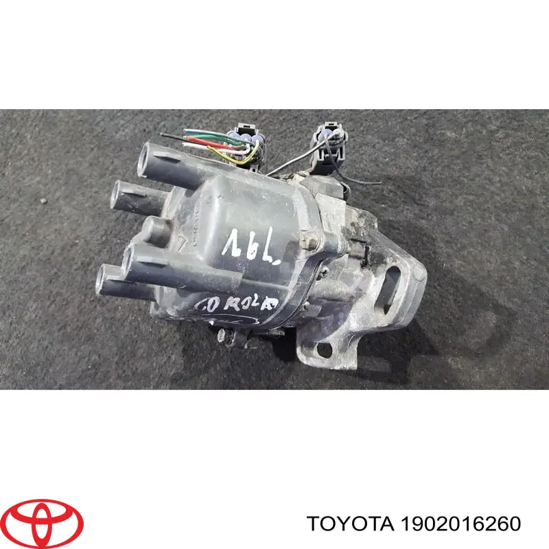 Купить 1902016250 Toyota Трамблер
