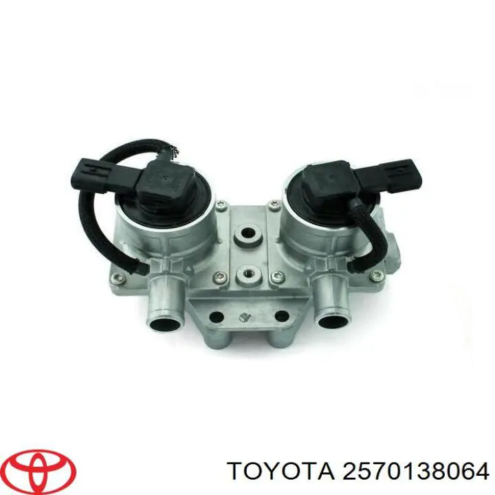 Клапан продувки катализатора Toyota 2570138064