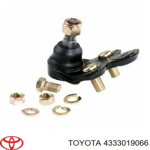 Нижняя правая шаровая опора 4333019066 Toyota