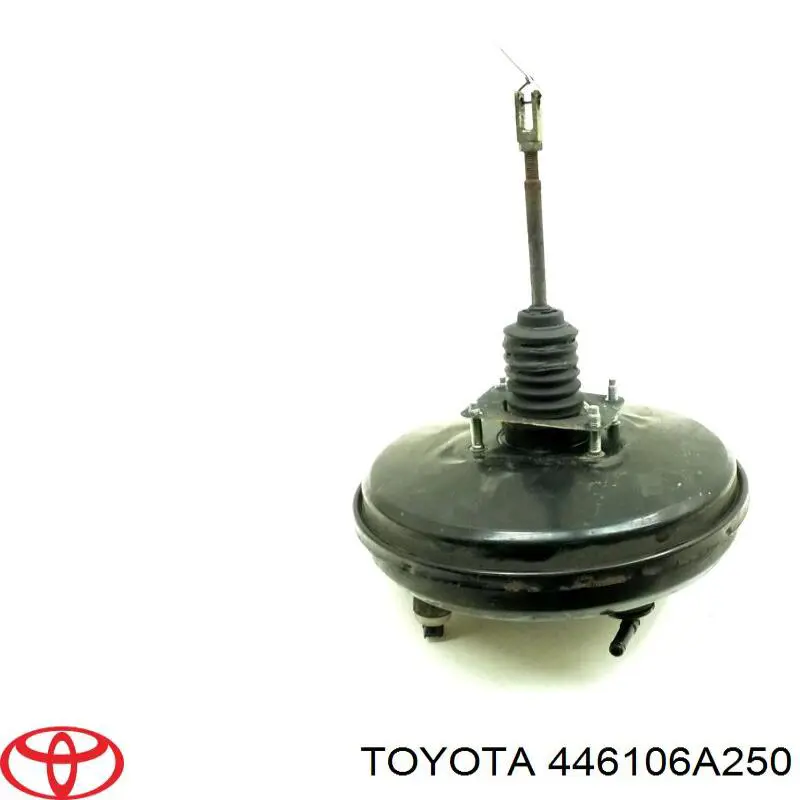  446106A250 Toyota