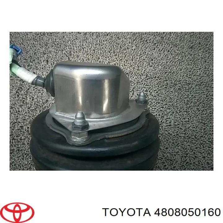 Амортизатор задний, правый Q-fix Q0310820 цена, от 281.50 USD