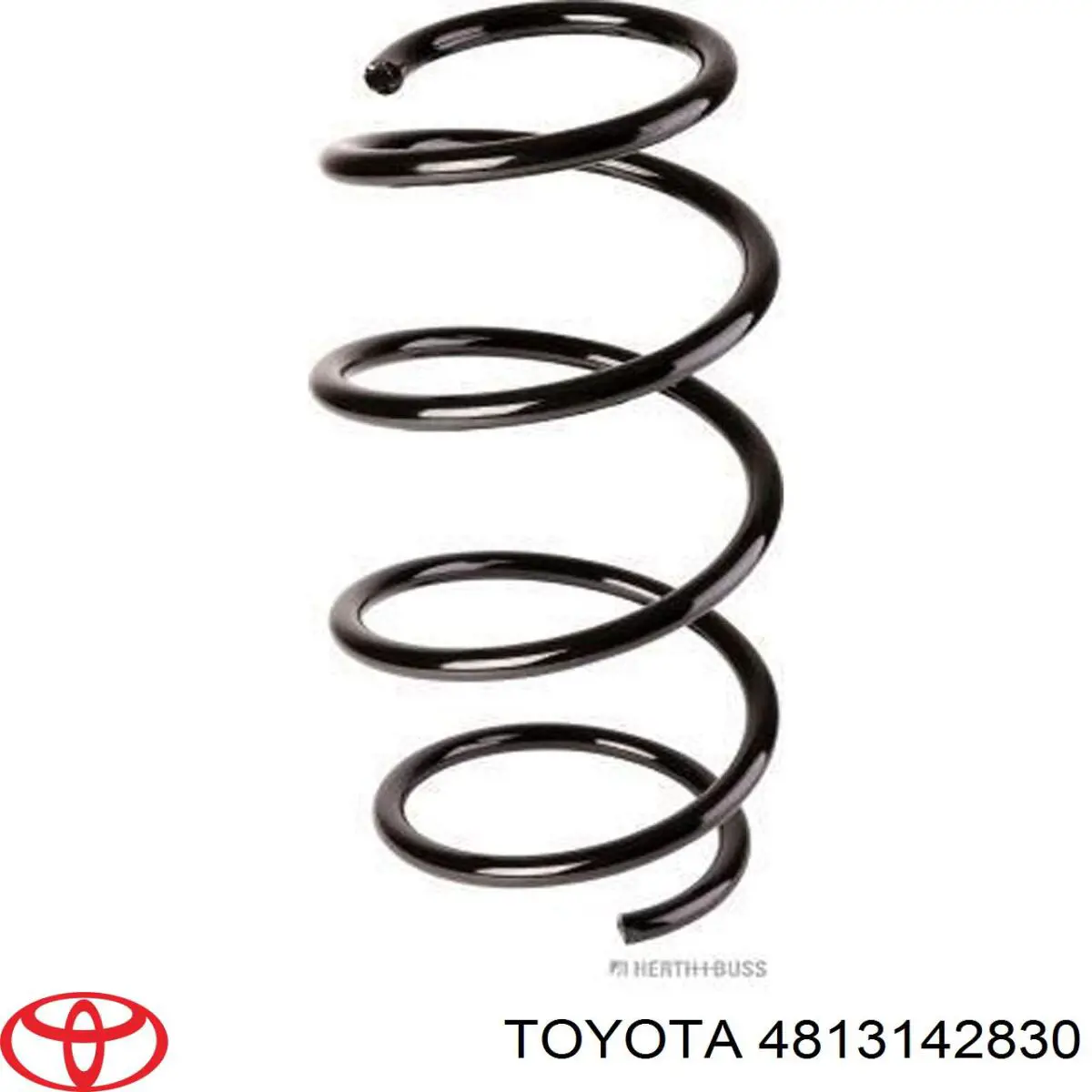 Mola dianteira para Toyota RAV4 (A4)