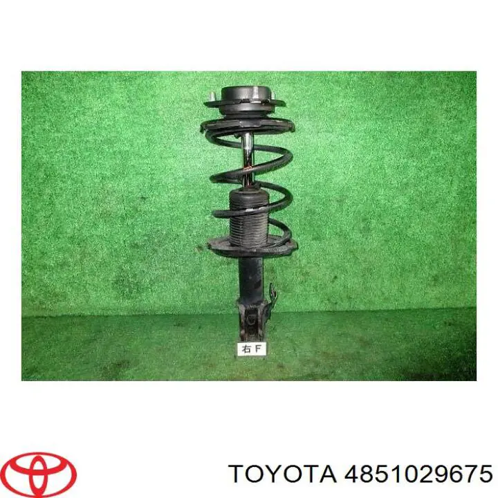 4851029675 Toyota амортизатор передний правый