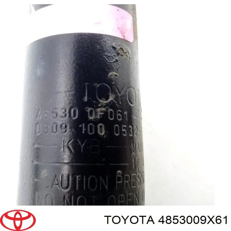 Купить RS315341 Raiso Амортизатор задний правый