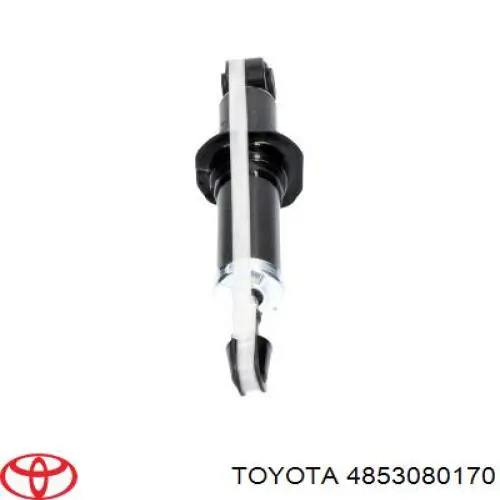 Купить 4853080170 Toyota Амортизатор задний правый
