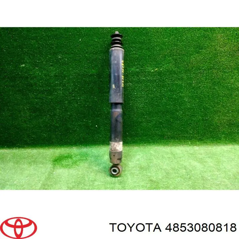4853080818 Toyota Амортизаторы задние