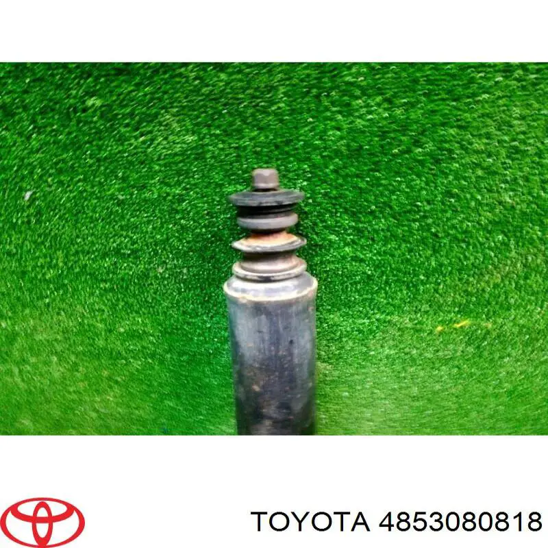 4853060203 TOYOTA Amortiguador trasero original y equivalente