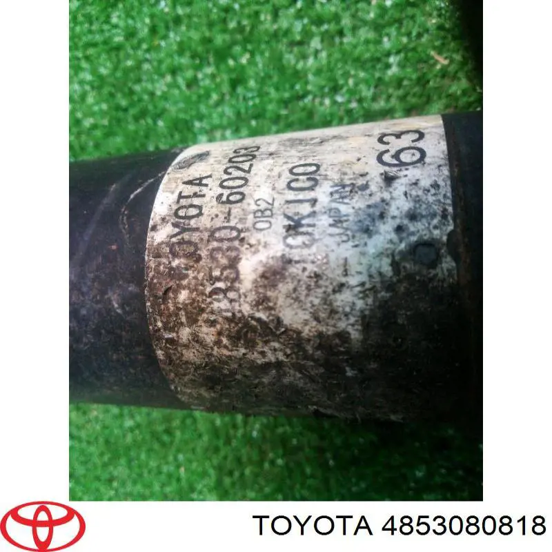 Стойка амортизатора задняя Toyota 4853080818 цена, от 68.77 USD