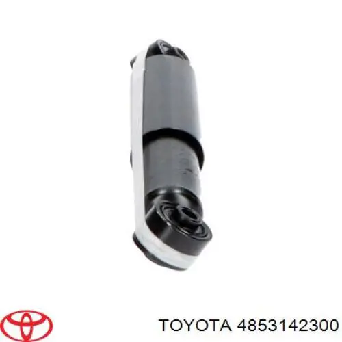 Амортизаторы задние на Toyota Rav4  