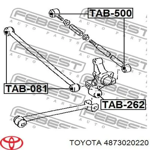 Тяга поперечная задней подвески AAMTO1303 Tenacity