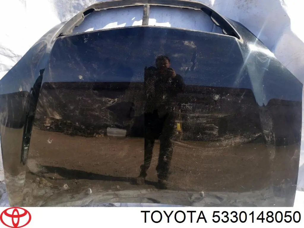 Капот FPS FP8145280 цена, от 187.25 USD