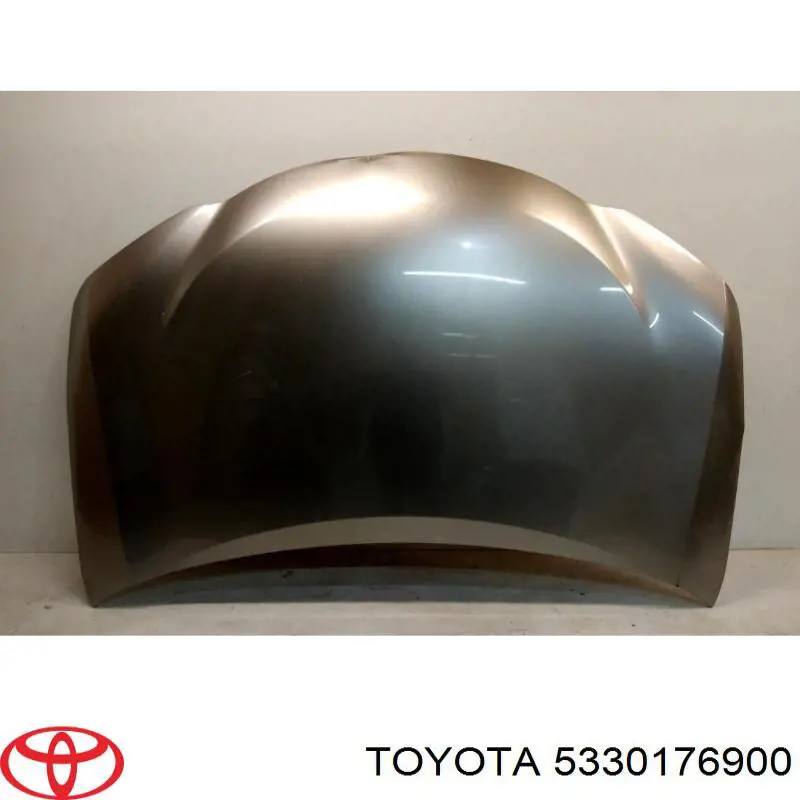 5330176900 Toyota/Lexus