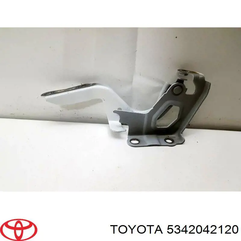 Gozno da capota esquerdo para Toyota RAV4 (A4)