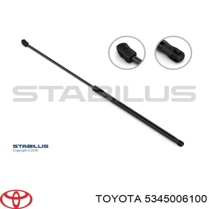 Amortecedor da capota esquerdo para Toyota Camry (V50)