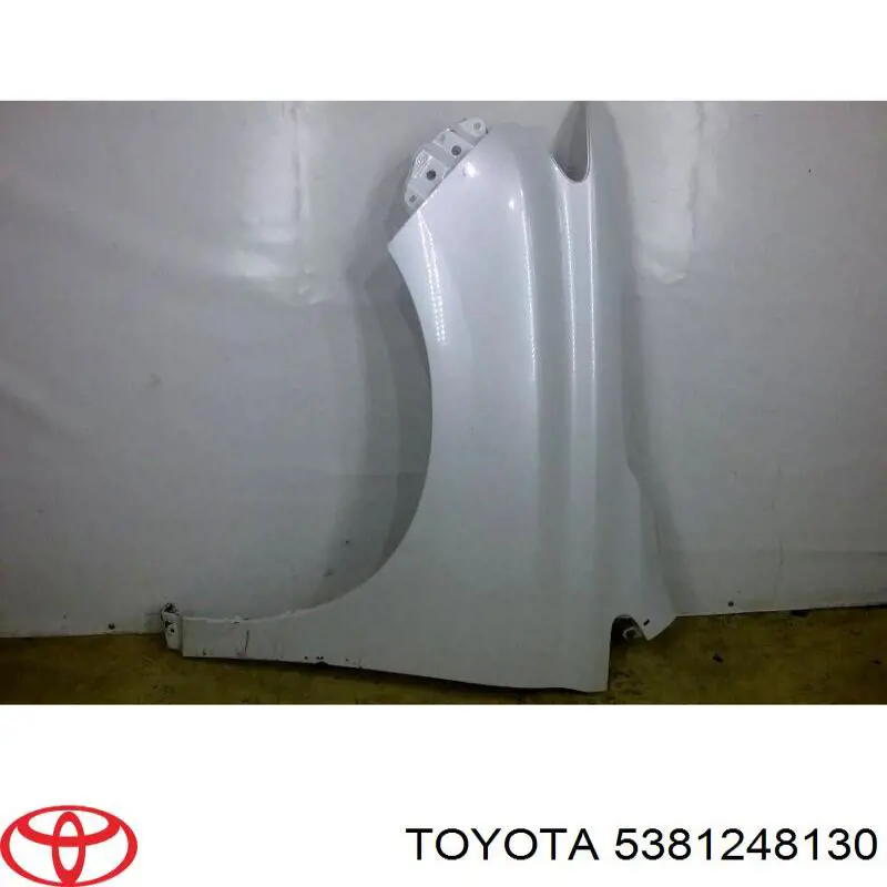 Pára-lama dianteiro esquerdo para Lexus RX 270/350/450H AGL10, GGL15, GYL15