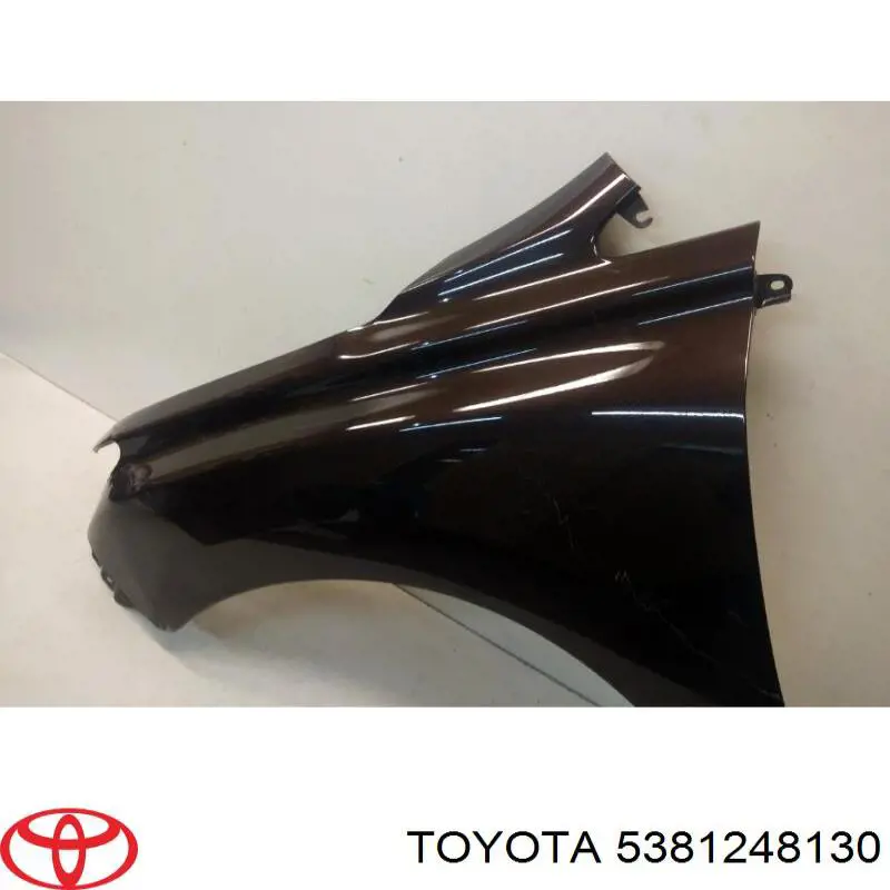 Pára-lama dianteiro esquerdo Lexus RX 270/350/450H AGL10, GGL15, GYL15