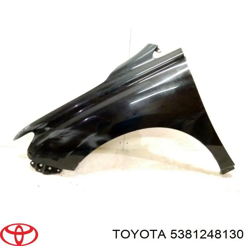  Pára-lama dianteiro esquerdo Lexus RX 270/350/450H SUV (AGL10, GGL15, GYL15) (2008 - 2015) 270/350/450H