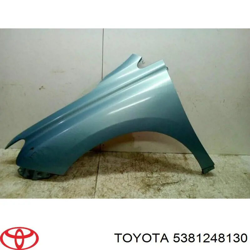 Pára-lama dianteiro esquerdo para Lexus RX 270/350/450H AGL10, GGL15, GYL15